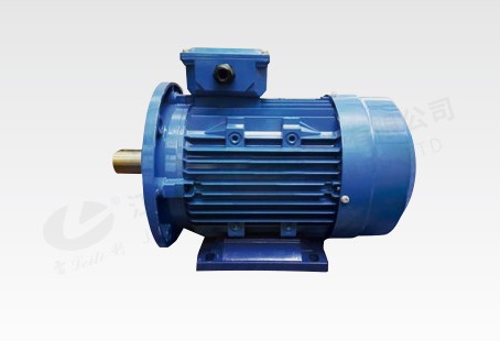 55KW 同步磁阻电机